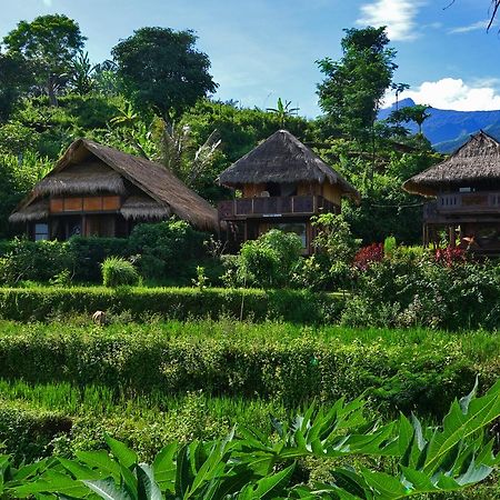 Отель Rinjani Mountain Garden Байан Экстерьер фото