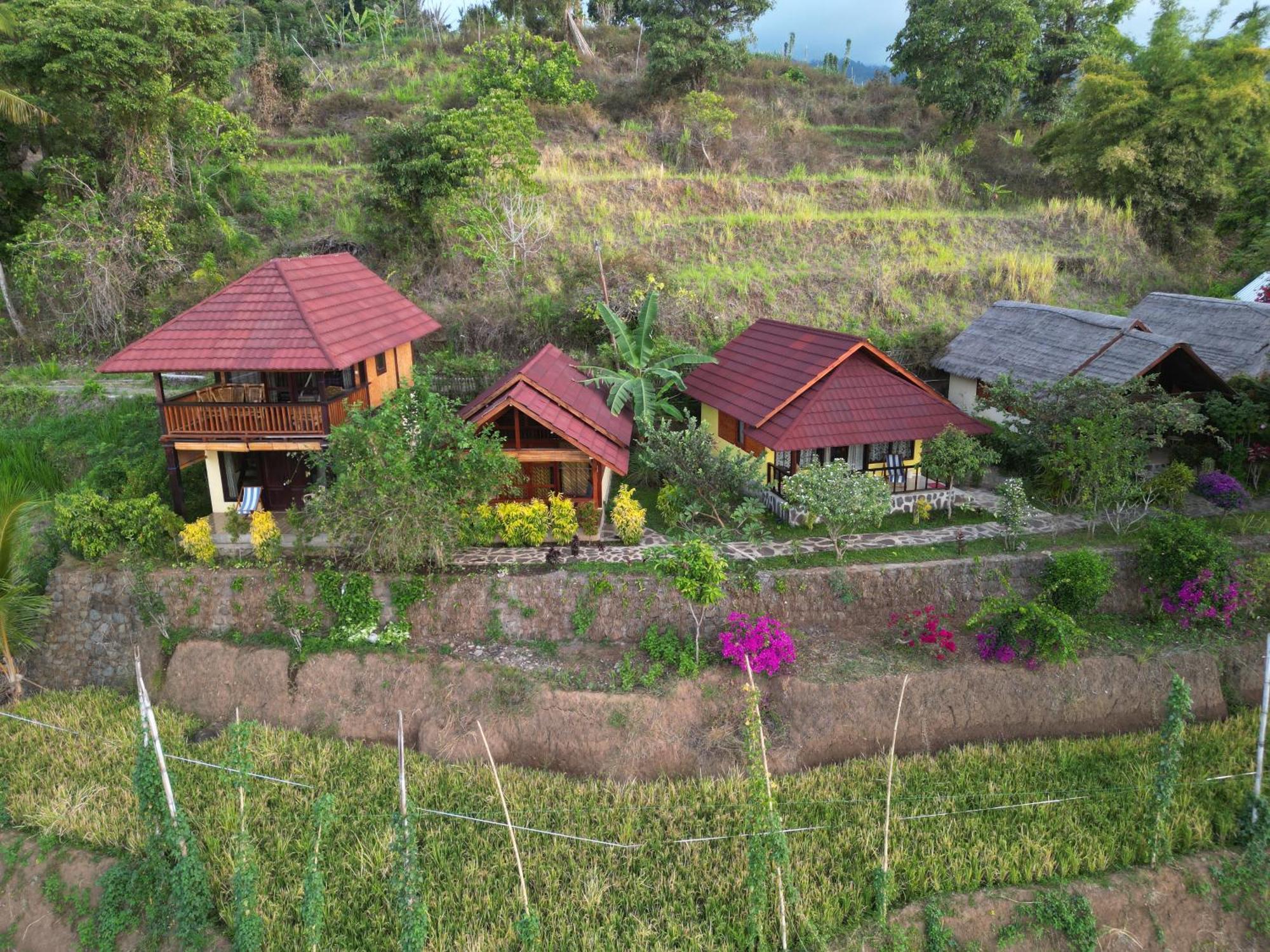 Отель Rinjani Mountain Garden Байан Экстерьер фото