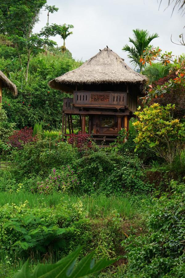Отель Rinjani Mountain Garden Байан Экстерьер фото