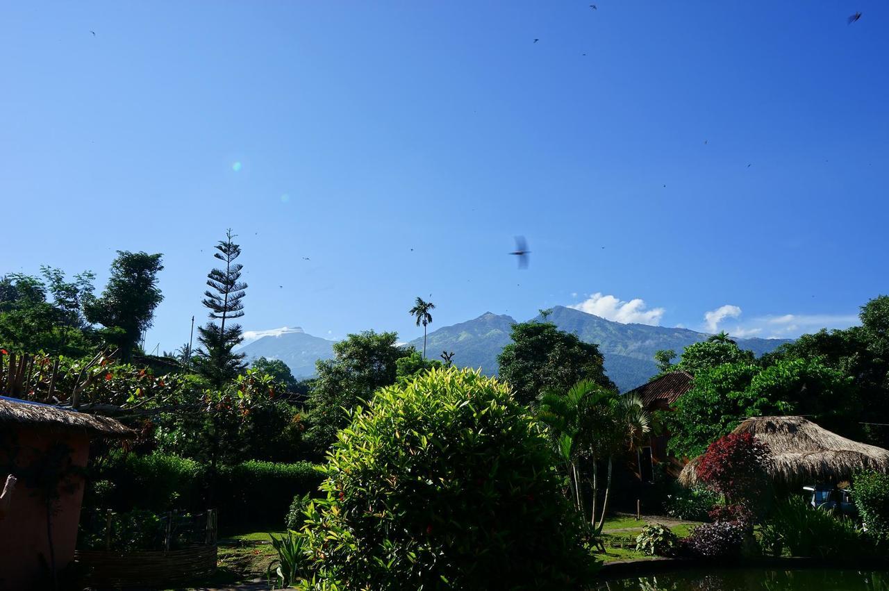 Отель Rinjani Mountain Garden Байан Экстерьер фото